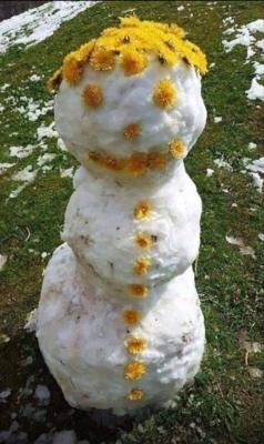 Прикрепленное изображение: photo_2024-05-07_09-56-04.jpg